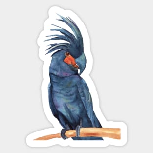 Great Red black palm cockatoo goliath parrots watercolor Sticker